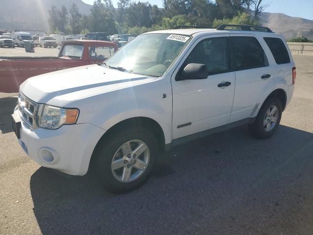 2008 Ford Escape HEV