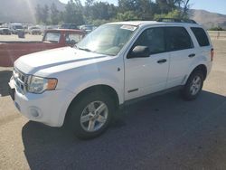 2008 Ford Escape HEV en venta en Van Nuys, CA