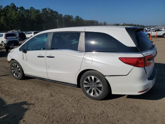 2024 Honda Odyssey exl