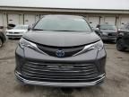 2025 Toyota Sienna Limited