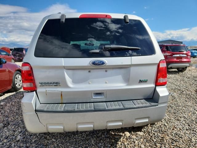 2012 Ford Escape XLT