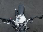 2019 Triumph 2019 Triumph Street Scrambler
