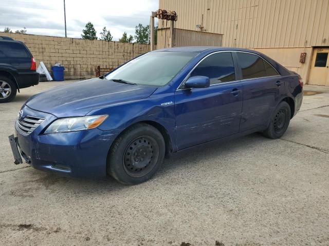 2008 Toyota Camry Hybrid