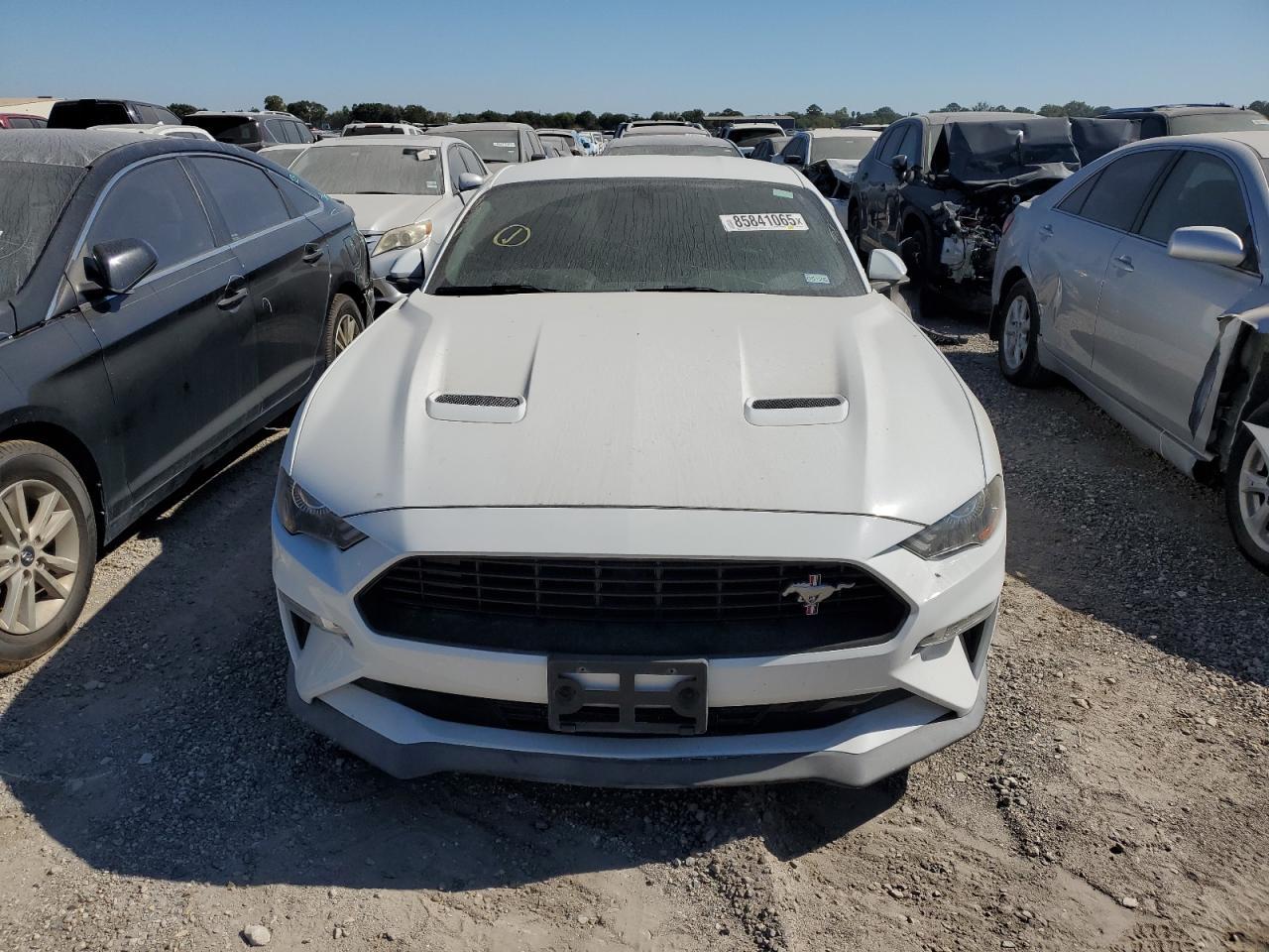 2019 Ford Mustang gt