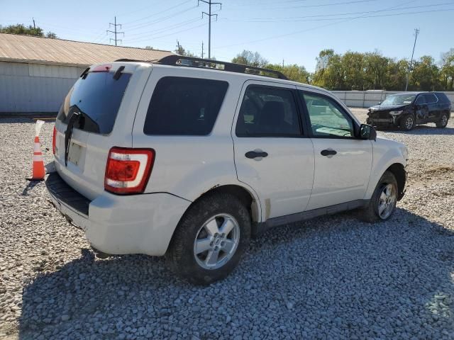 2009 Ford Escape XLT