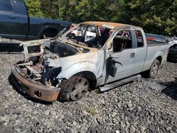 Salvage cars for sale from Copart Lufkin, TX: 2009 Ford F150 Super cab
