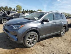 2018 Toyota Rav4 HV Limited en venta en Elgin, IL