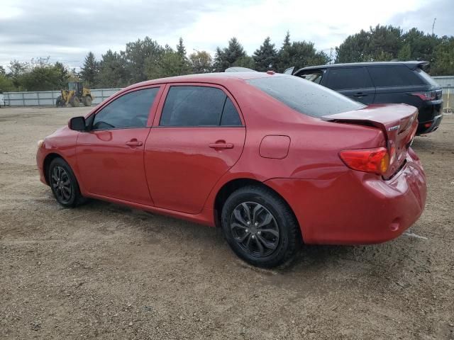 2010 Toyota Corolla Base