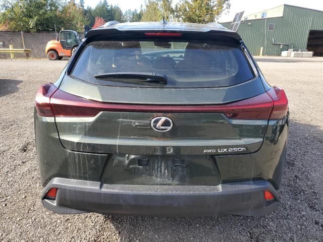 2023 Lexus UX 250H Premium