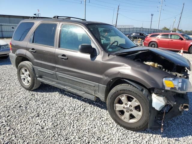 2006 Ford Escape XLT