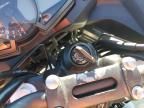 2024 Kawasaki KLE300 C