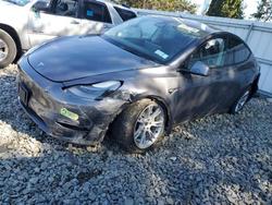 Tesla salvage cars for sale: 2023 Tesla Model y