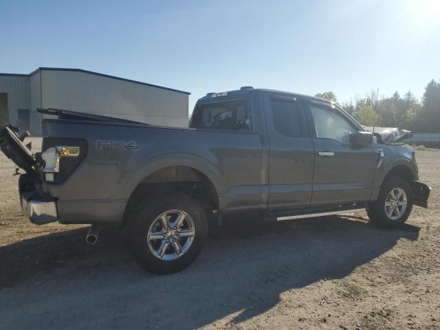 2025 Ford F150 XLT