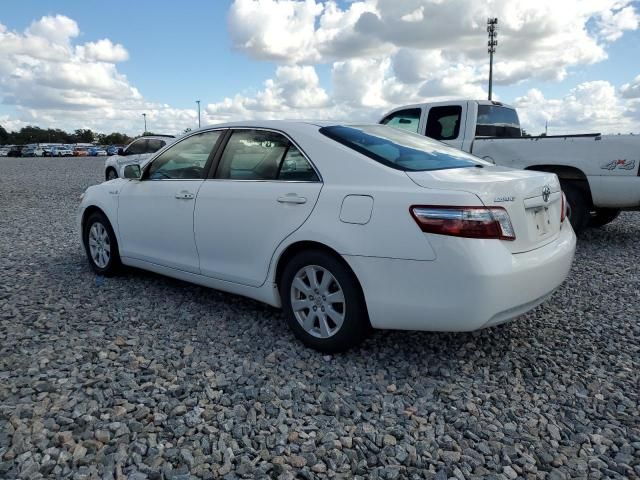2009 Toyota Camry Hybrid