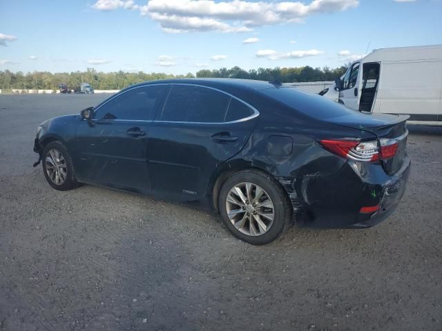 2013 Lexus ES 300H