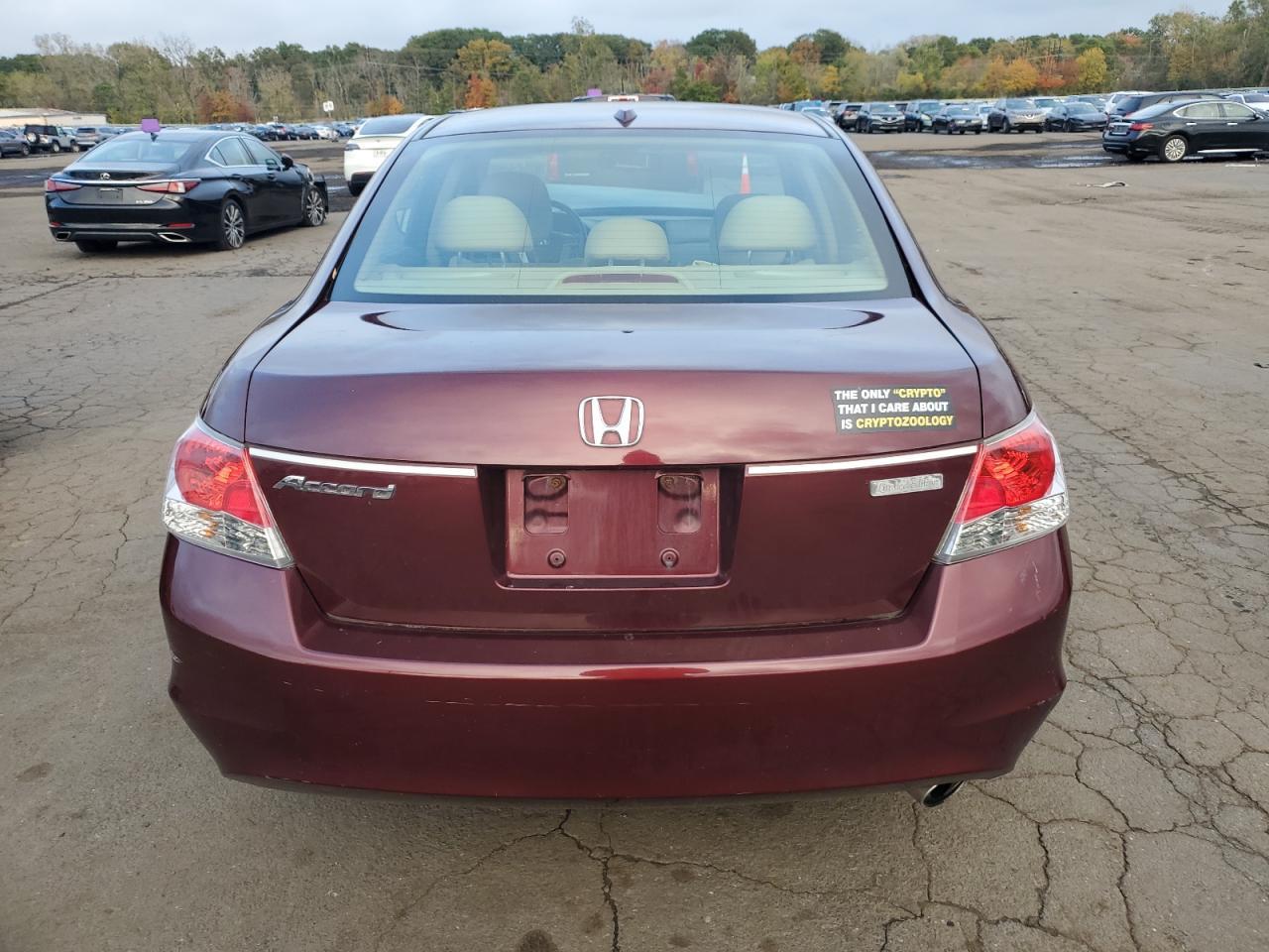 2010 Honda Accord exl