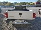 2005 Dodge Dakota SLT