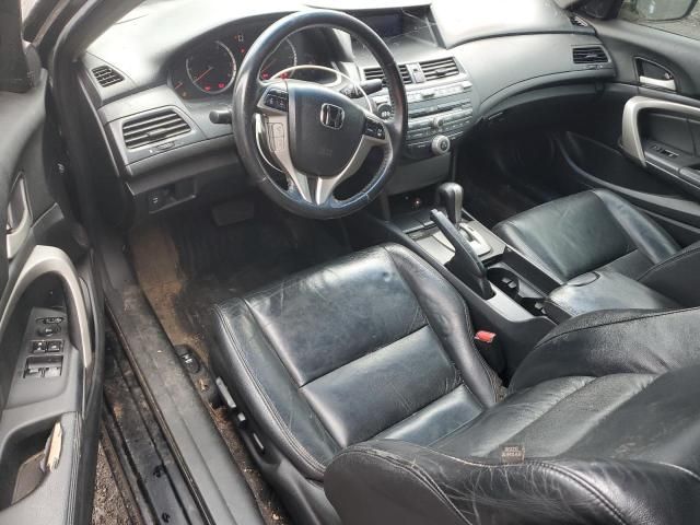 2010 Honda Accord EXL