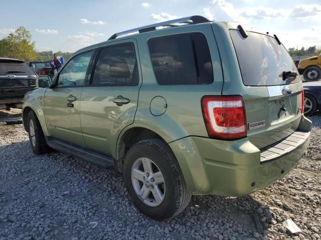 2008 Ford Escape HEV