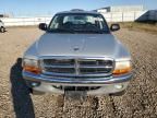 2002 Dodge Dakota Quad SLT
