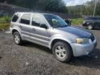 2007 Ford Escape xlt