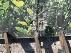 2010 Wells Cargo Enclosed Cargo Trailer
