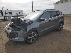 2015 Ford Escape SE for sale in Portland, MI