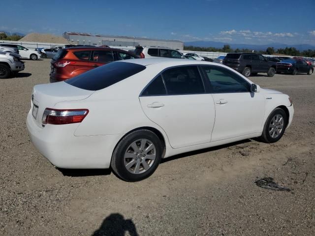 2009 Toyota Camry Hybrid