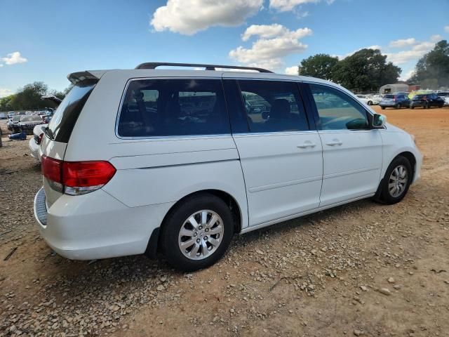2010 Honda Odyssey EXL