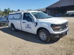 2025 Ford F150 XL