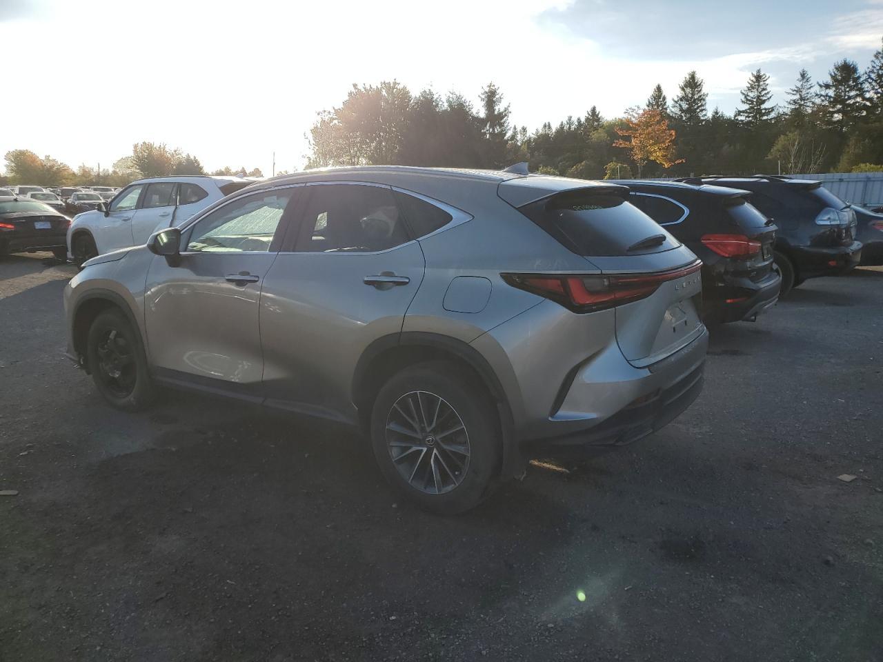2025 Lexus Nx 250 Base