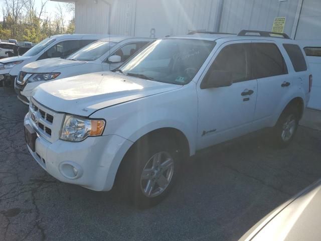 2011 Ford Escape Hybrid