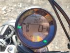 2021 Ducati Scrambler Desert Sled
