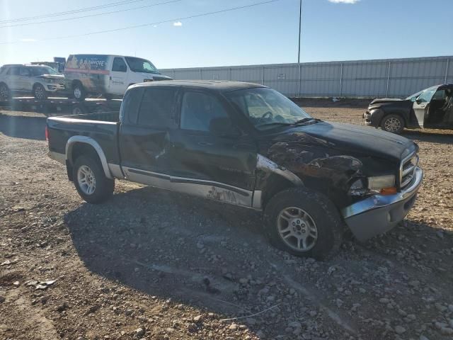 2001 Dodge Dakota Quattro
