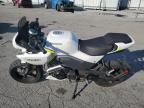 2024 Moto 2024 CF Moto Papio SS