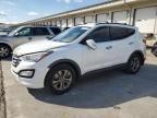 2014 Hyundai Santa fe Sport