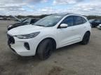 2023 Ford Escape st Line Elite