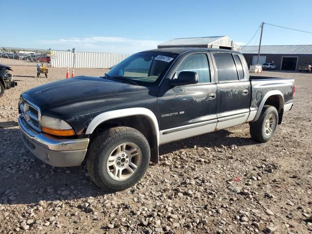 2001 Dodge Dakota Quattro