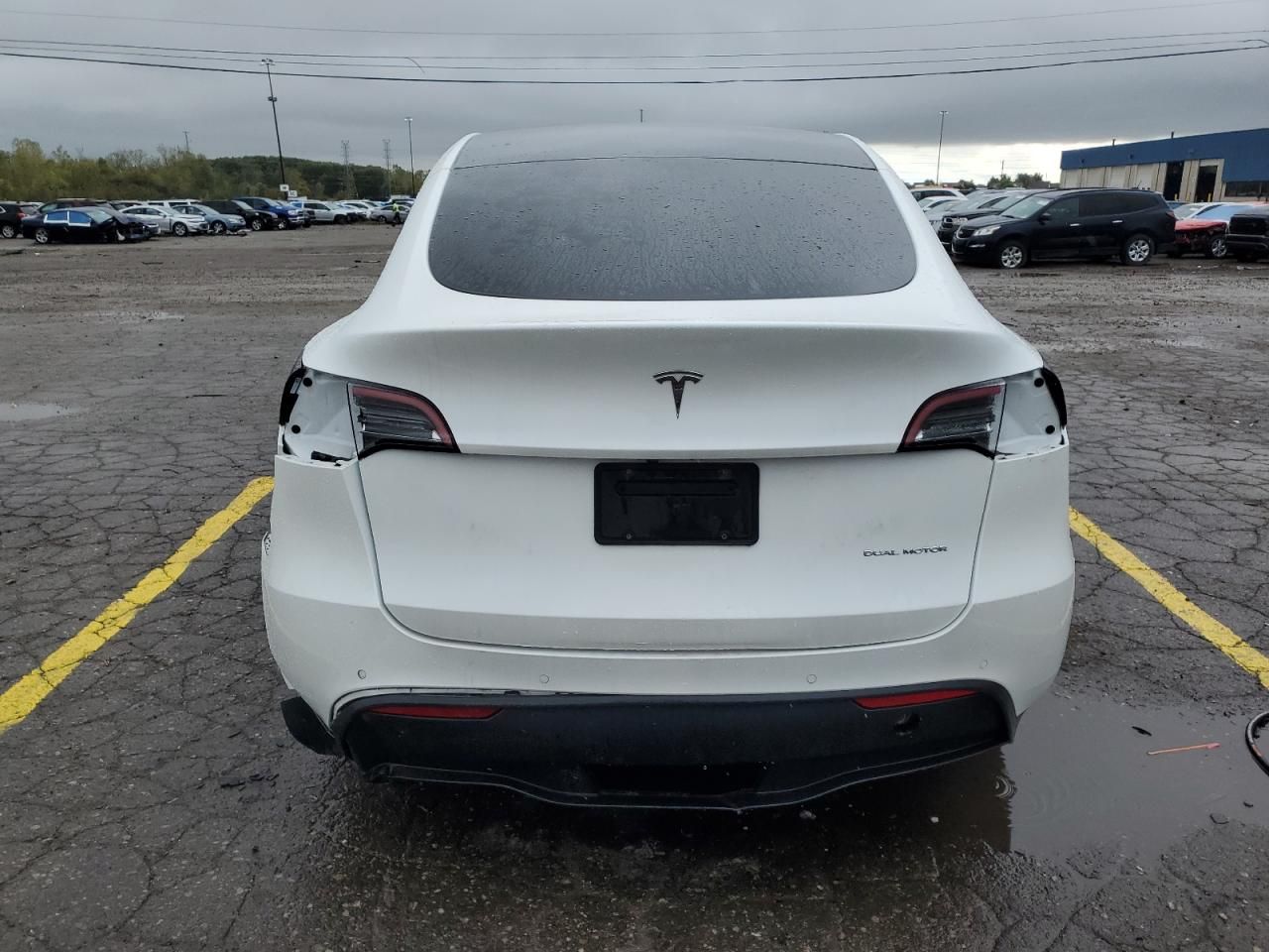 2022 Tesla Model y