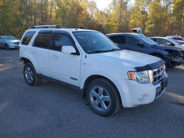 2008 Ford Escape Limited