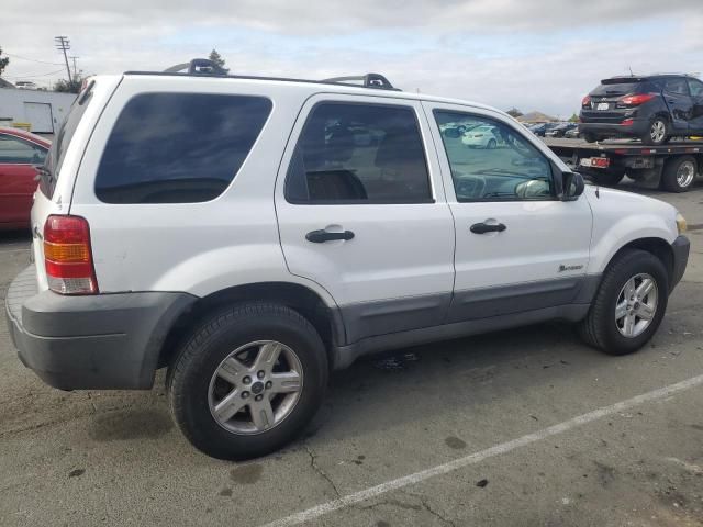 2005 Ford Escape HEV