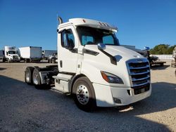 Salvage trucks for sale at Wilmer, TX auction: 2019 Freightliner Cascadia 116