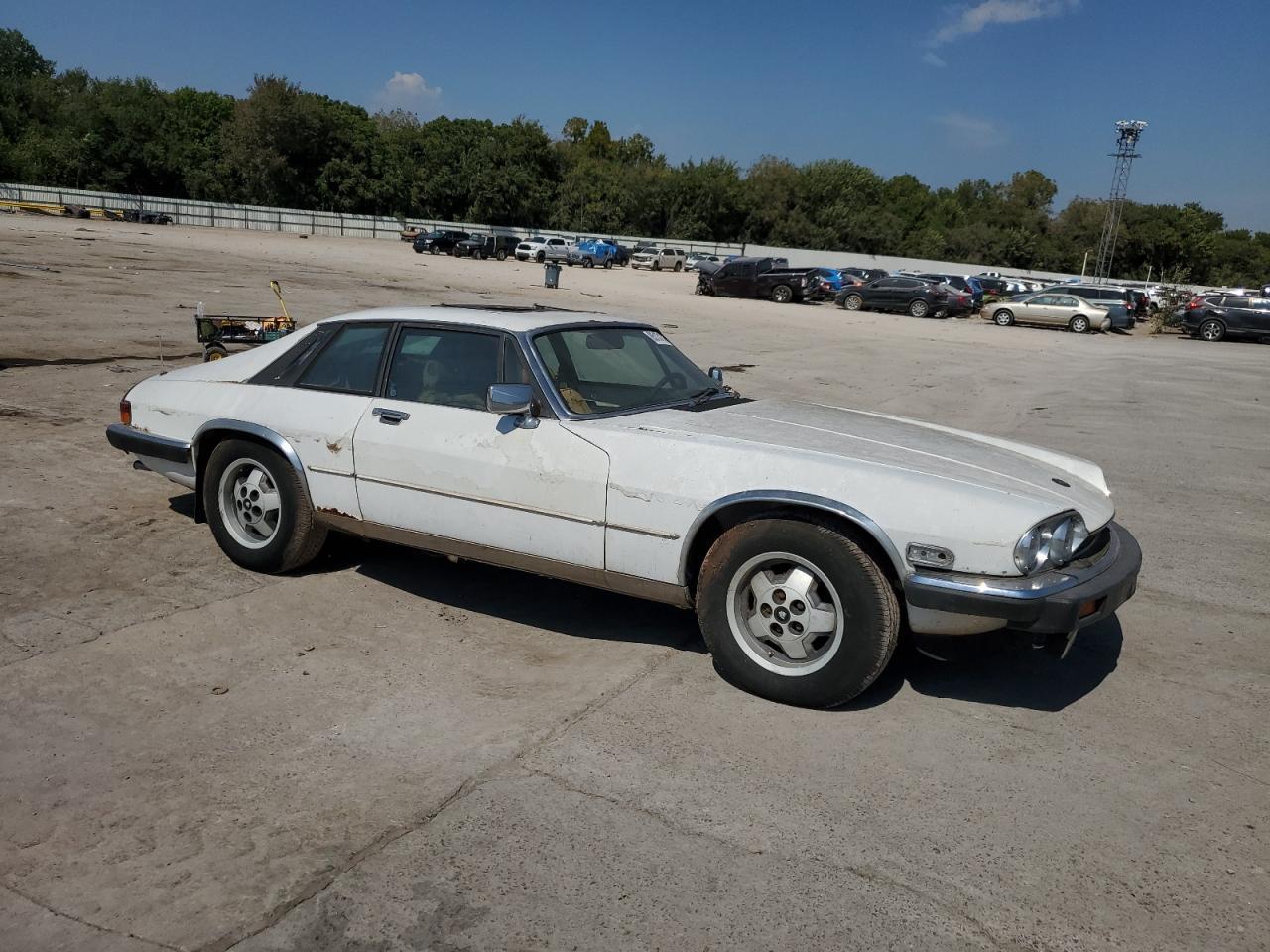1982 Jaguar XJS