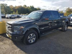 Salvage trucks for sale at East Granby, CT auction: 2013 Ford F150 Supercrew