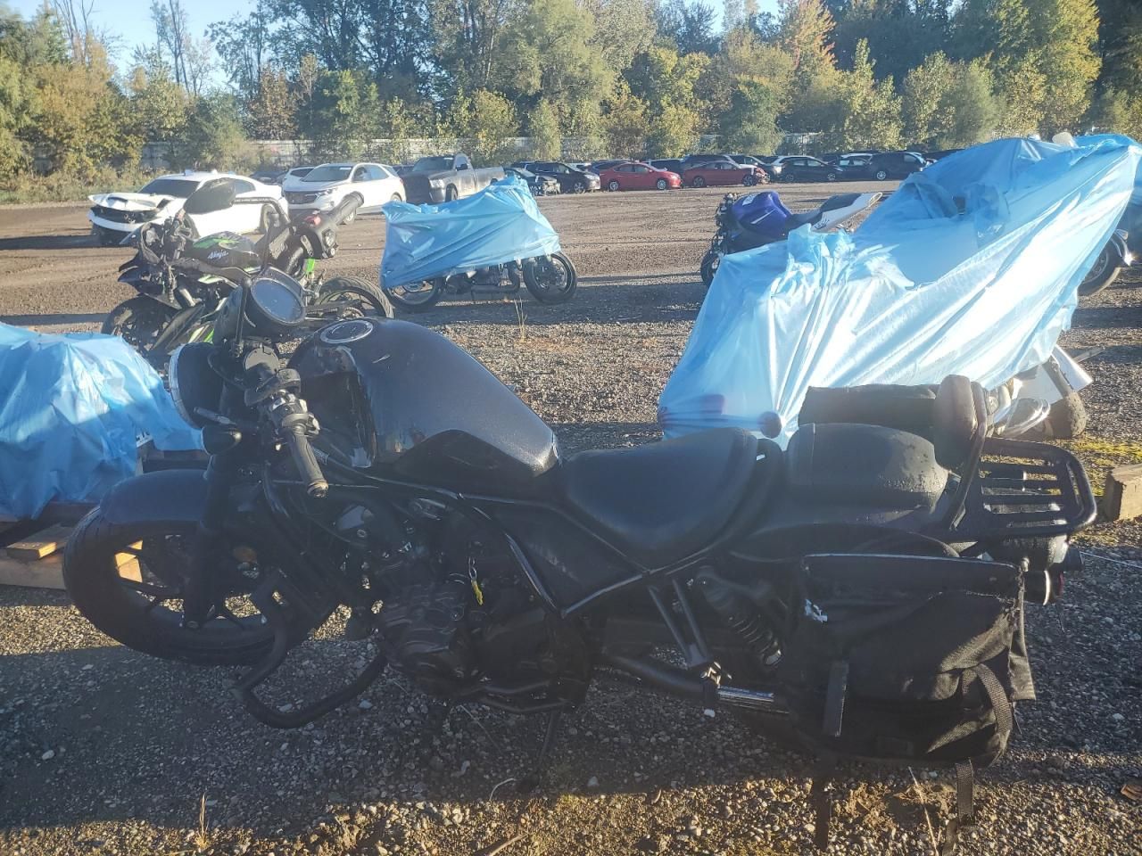 2022 Honda CMX1100 D