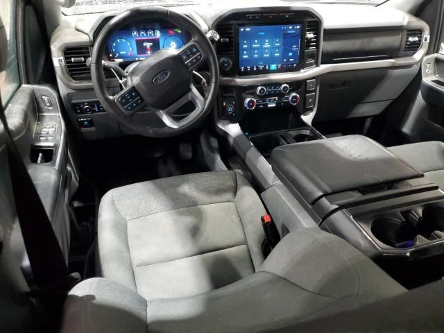 2024 Ford F150 XLT