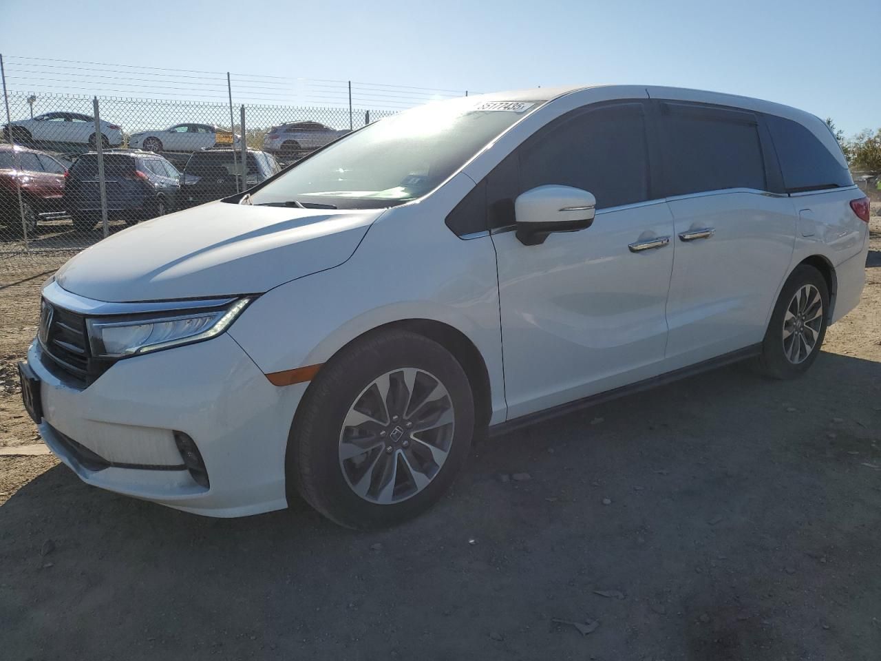 2023 Honda Odyssey exl