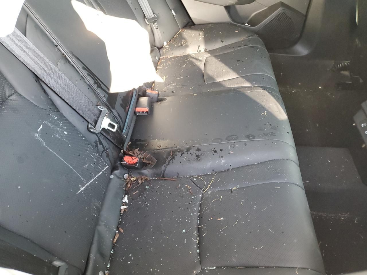 2025 Honda Accord Touring Hybrid