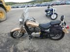 2005 Kawasaki VN800 B