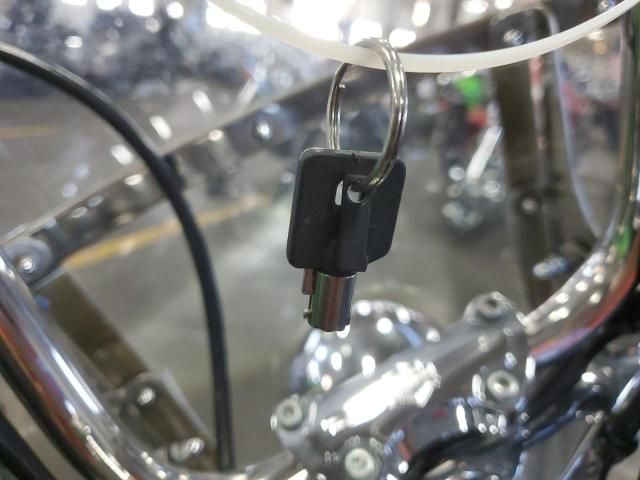 2004 Harley-Davidson Fxdwgi